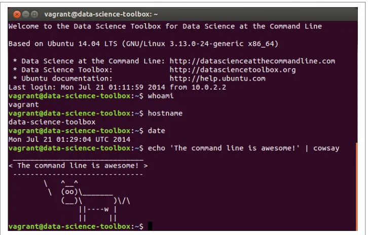 Figure 1-2. Command line on Ubuntu