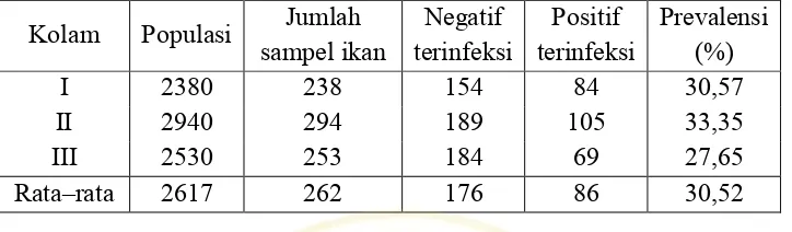 Tabel 3. Prevalensi Myxobolus Pada Ikan Koi di Desa Nglegok 