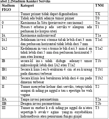 Tabel 2.2Stadium Kanker Serviks 
