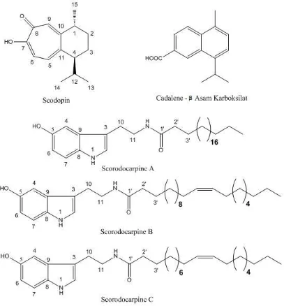 Gambar 2.3   Struktur kimia senyawa sesquiterpen dan beberapa alkaloid dari tanaman Scorodocarpus borneensis (Wiart, 2001) 