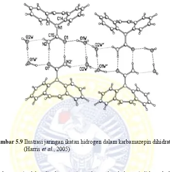 Gambar 5.9 Ilustrasi jaringan ikatan hidrogen dalam karbamazepin dihidrat  