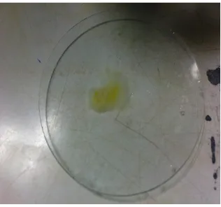 Gambar embrio ayam yang diletakkan di gelas arloji