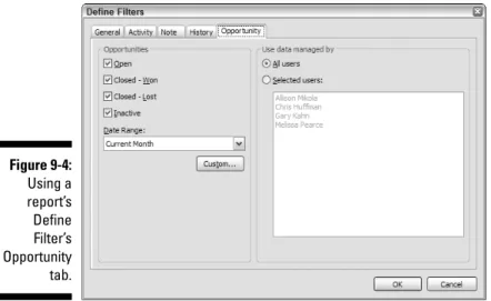 Figure 9-4: Using a report’s Define Filter’s Opportunity tab.