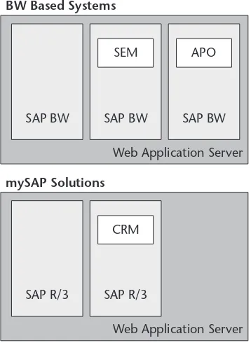 Figure 3.7Types of SAP systems.