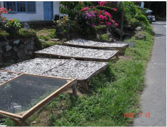 Figure 4. Tradional ways for fish drying  