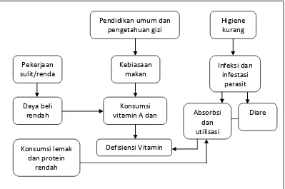 Gambar 2.1. Faktor Penyebab Kekurangan Vitamin A (Sumber: Sediaoetama, 