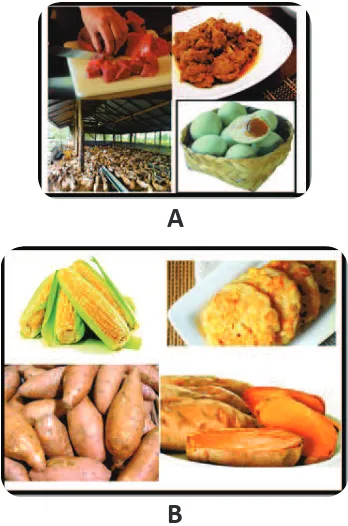 Gambar 4.1 Aneka produk olahan pangan nabati dan hewani