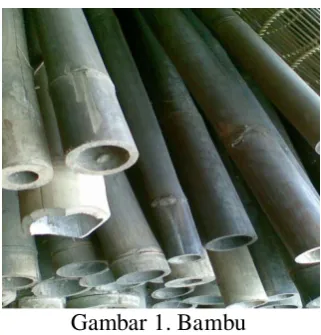 Gambar 1. Bambu 