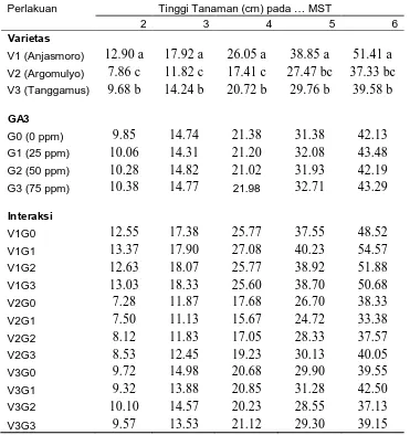 Tabel.2. Rataan tinggi tanaman dengan perlakuan varietas dan GA3 pada 2 MST sampai dengan 6 MST