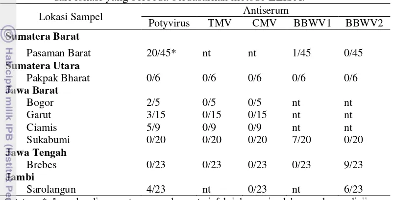 Tabel 3.1 Frekuensi infeksi virus pada sampel tanaman nilam bergejala mosaik dari lokasi yang berbeda berdasarkan metode ELISA