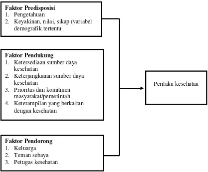 Gambar 2.1 Kerangka Teori Lawrence Green (1980) 