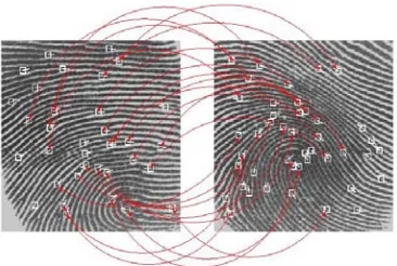 Gambar 2.3. Kesesuaian ridge pada sidik jari [11] 