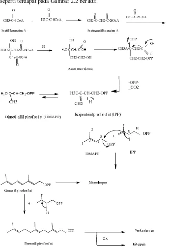 Gambar 2. 2. Reaksi biosintesis terpenoid (Mannito, 1992) 