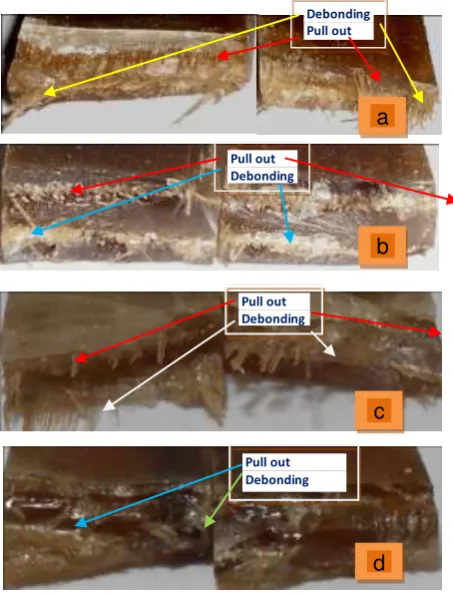 Tabel 4. Hasil Analisis Varian (Anova) 