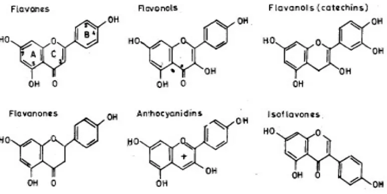 Gambar 2.2. Struktur Kimia Flavonoid (Mahmood et al.,2010) 