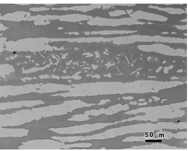 Gambar 2.4. Mikro Struktur Ferrite