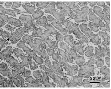 Gambar 2.5. Mikro Struktur Cementite 