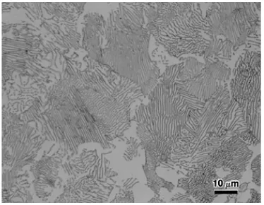 Gambar 2.6 Mikro Struktur Pearlite 