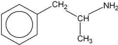 Gambar 2.1. Struktur dasar molekul Amfetamin (Cadwell, 1980) 