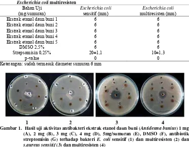 Tabel 3. Hasil uji sensitivitas ekstrak etanol daun buni terhadap Eschericia coli sensitif dan Escherichia coli multiresisten 