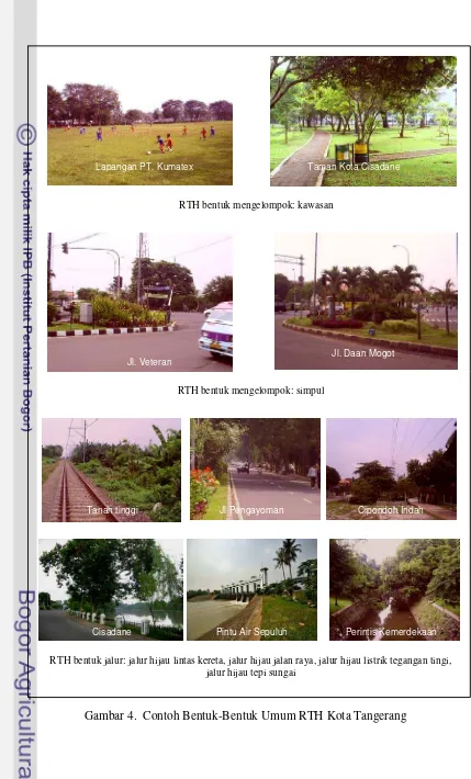 Gambar 4.  Contoh Bentuk-Bentuk Umum RTH Kota Tangerang 