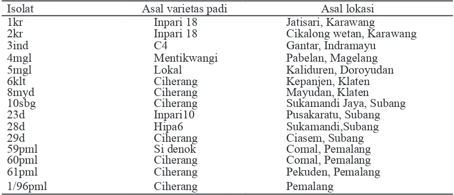 Tabel 1  Isolat Xanthomonas oryzae pv. oryzae asal tanaman padi dari beberapa wilayah di Jawa Barat dan Jawa Tengah
