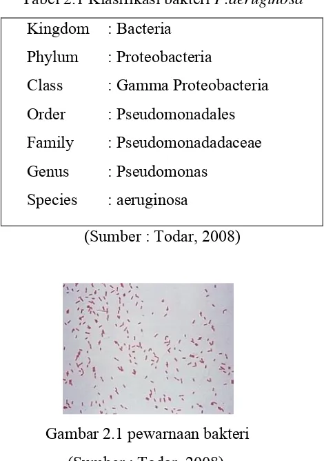Tabel 2.1 Klasifikasi bakteri P.aeruginosa