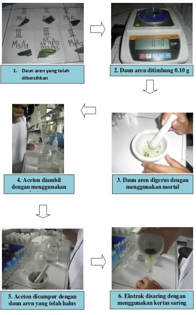 Gambar 8. Tahapan Analisis klorofil dengan metode Hendry dan Grime  
