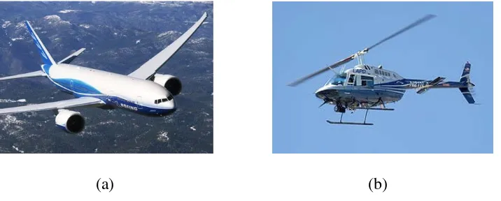 Gambar 2.1 (a) Fixed wing dan (b) Rotary wing 