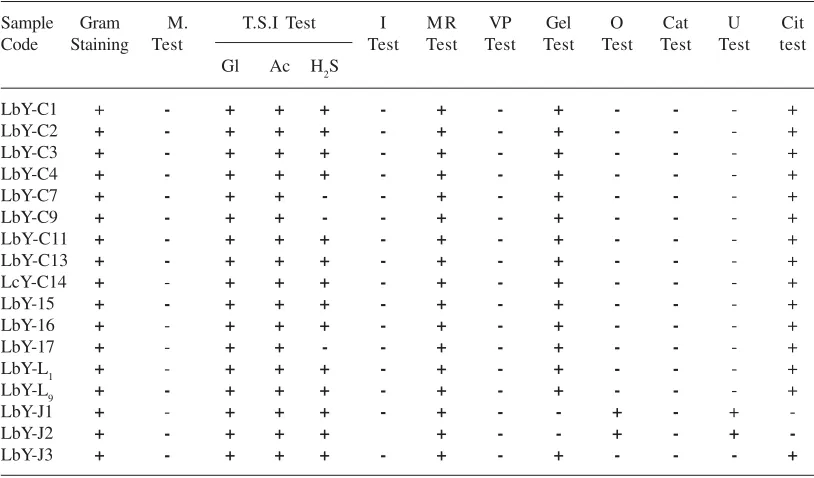 Table 1. Morphological, physiological and biochemical test for identification of isolated Lactobacilli sp