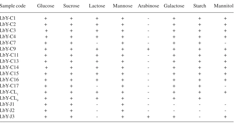 Table 2. Physiological and Biochemical test for identification of isolated Lactobacilli sp