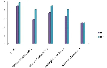 Fig. 3. Percentage of Antibiotic Resistance, 21 forLactobacilli  sp.)