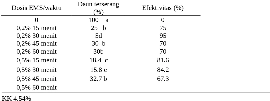 Tabel 5. Persentase daun terserang Xaa (%) pada mutan bawang merah 