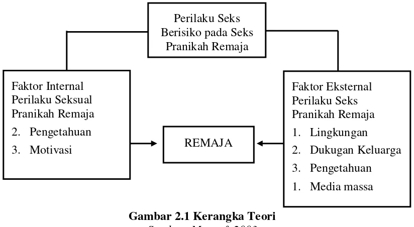 Gambar 2.1 Kerangka Teori 