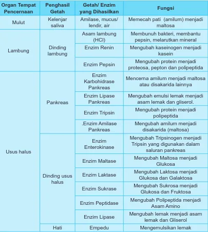 Tabel 5.5 Organ Pencernaan, Enzim yang Dihasilkan, dan Fungsinya