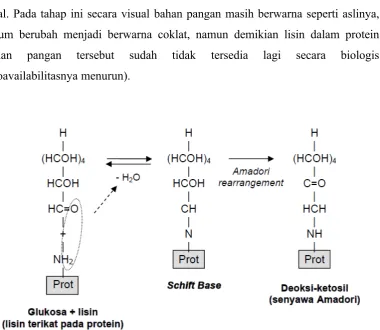 Gambar 1. Reaksi Maillard Awal