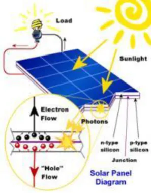 Gambar 2.2 struktur panel surya 