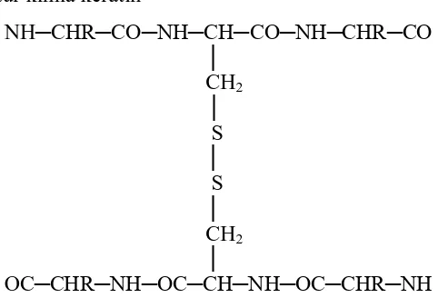 Gambar 1. Struktur kimia keratin 