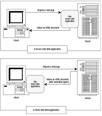 Figure 1-3. Server-side and client-side web applications