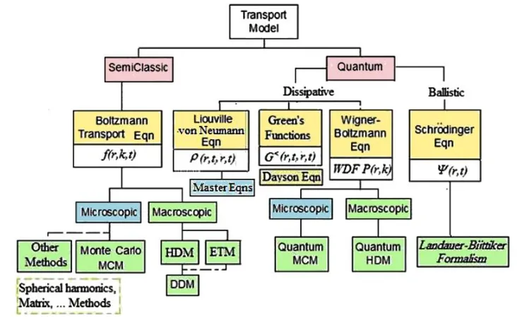 Figure 8. Detailed illustration of information-carrier transport models