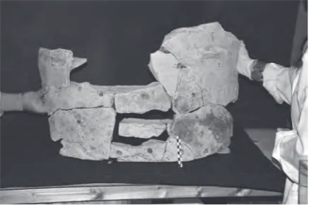 Fig. 6 - Castel Romano. Villa. Dolium glirarium, parte esterna.