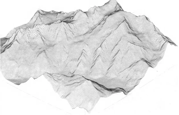 Figure 6. Digital terrain model of the Mount Blanc [BRU 87] 