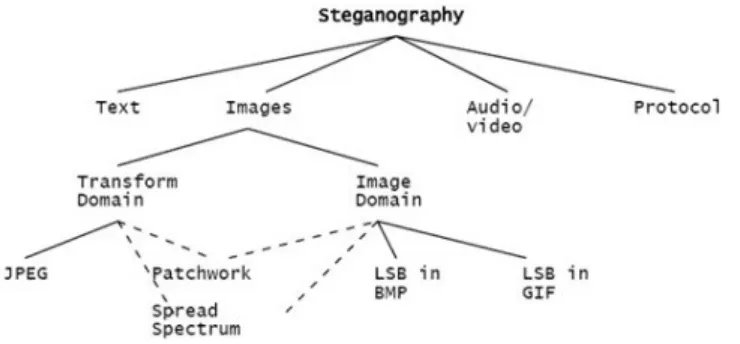 Gambar 2.4  Skema penggolongan Steganografi berdasarkan domainnya