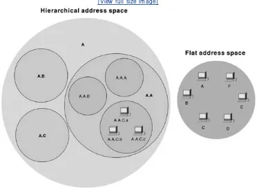 Figure 1- 17 . H ierarchical and Flat  Address Spaces D iffer in Com parison •  Table of Content sOperations