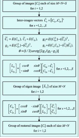 Fig. 1.8 Algorithm for direct/inverse APCA for a group of two images