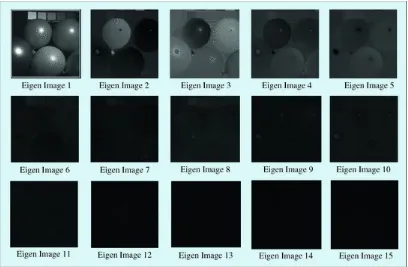 Fig. 1.12 Eigen images, obtained after executing the 3-levels HAPCA