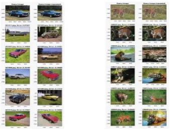 Fig. 1. Using CBH-IBR to query images of a classic car (left) and a tiger (right).