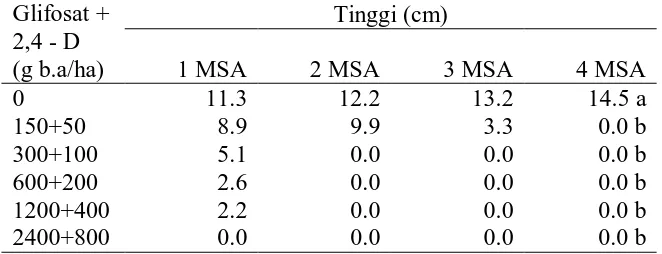 Tabel 9. Rataan tinggi gulma A. intrusa  setelah aplikasi herbisida glifosat. 