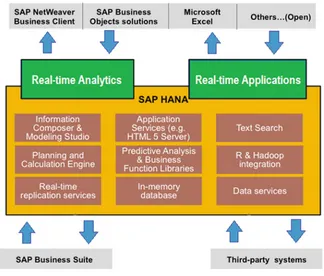 Fig. 3 SAP HANA platform [23]