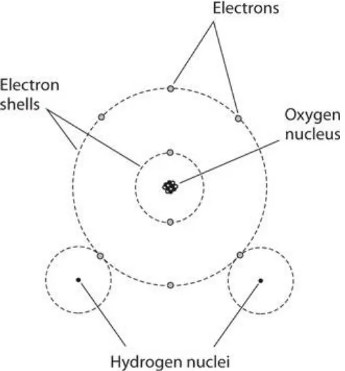 Figure 1-3 portrays a molecule of water. Oxygen atoms in the earth’s atmosphere usually pair up to